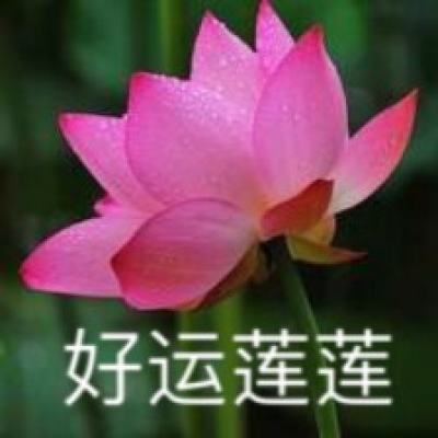 九品官老爷破解版下载